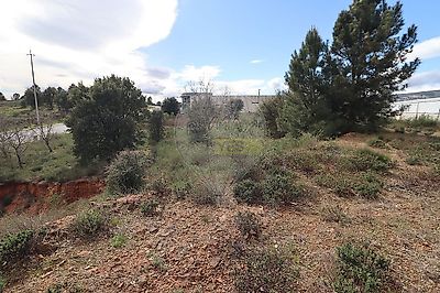 listing-picture-0