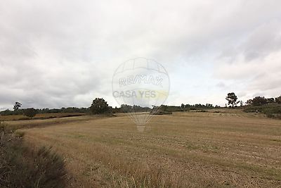 listing-picture-0