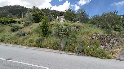 listing-picture-0