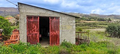 listing-picture-0