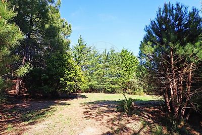 listing-picture-0