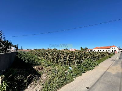 listing-picture-0