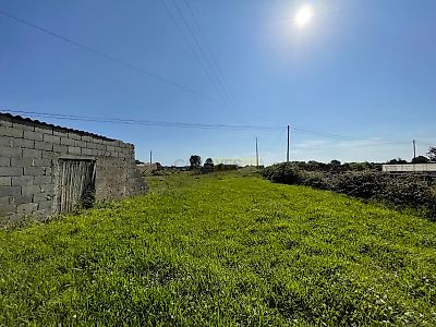 listing-picture-0