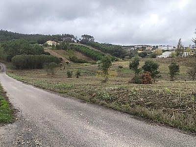 listing-picture-0
