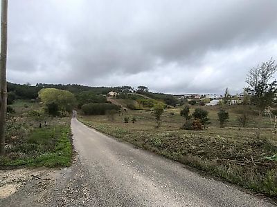 listing-picture-0