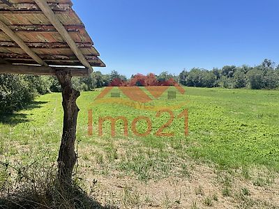 listing-picture-0