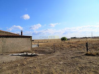 listing-picture-0