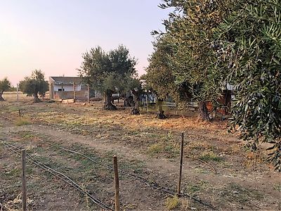 listing-picture-0