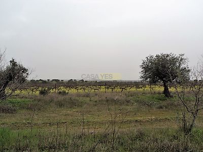 listing-picture-0