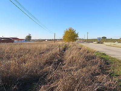 listing-picture-0
