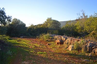 listing-picture-0