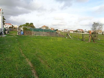 listing-picture-0