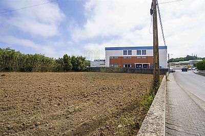 listing-picture-0