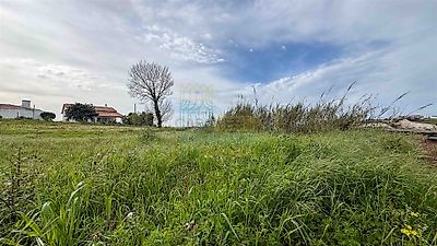 listing-picture-0