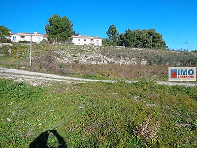 listing-picture-0