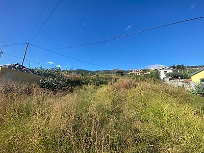 listing-picture-0