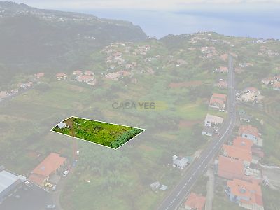listing-picture-0