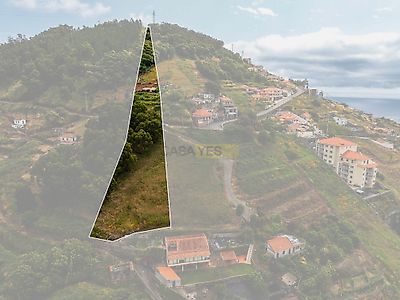 listing-picture-0