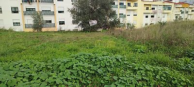 listing-picture-0
