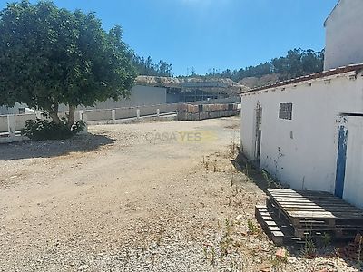 listing-picture-0