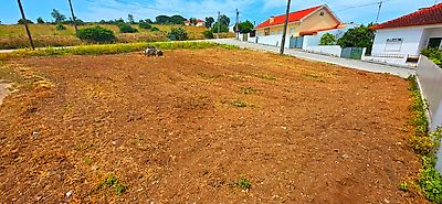 listing-picture-0