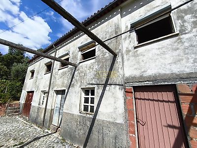 listing-picture-0