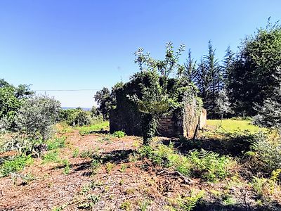 listing-picture-0