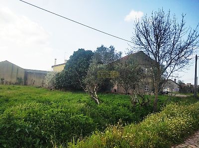 listing-picture-0