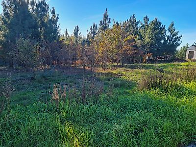 listing-picture-0