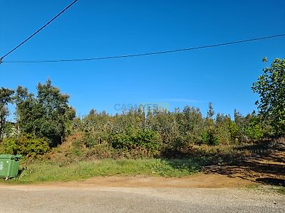 listing-picture-0