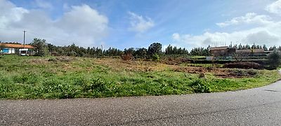 listing-picture-0
