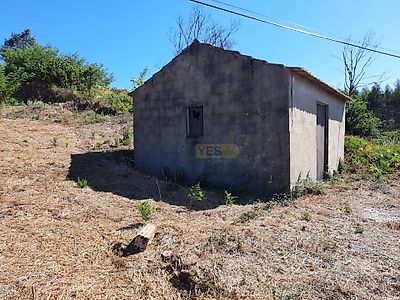 listing-picture-0