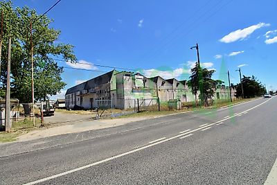 listing-picture-0