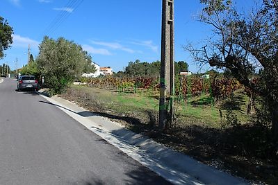 listing-picture-0