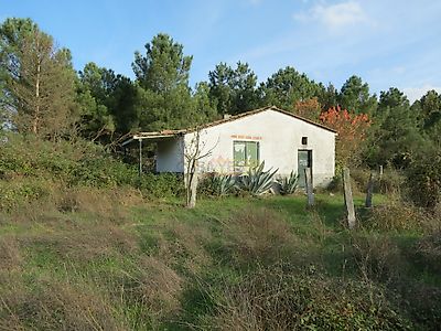 listing-picture-0