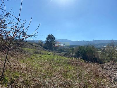 listing-picture-0