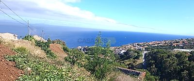 listing-picture-0