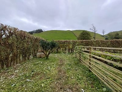 listing-picture-0