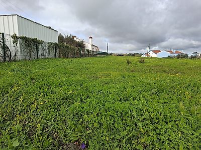 listing-picture-0