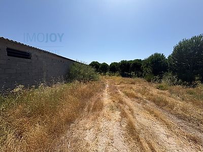 listing-picture-0