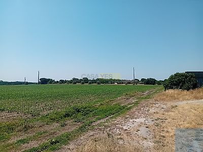 listing-picture-0