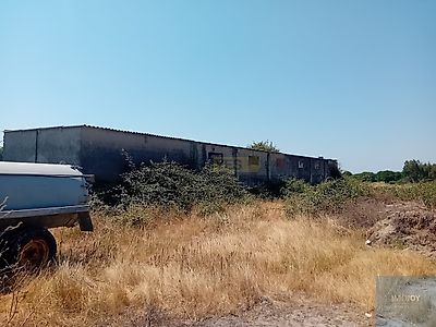 listing-picture-0
