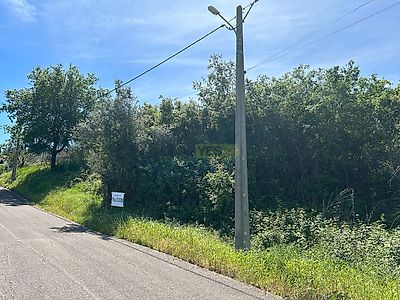 listing-picture-0