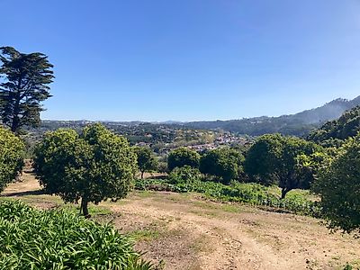 listing-picture-0