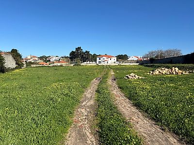 listing-picture-0