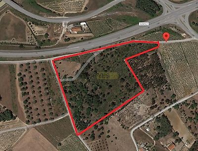 listing-picture-0