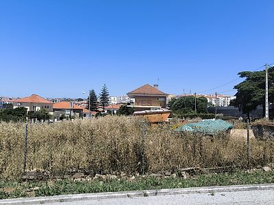 listing-picture-0