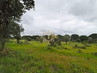 listing-picture-0