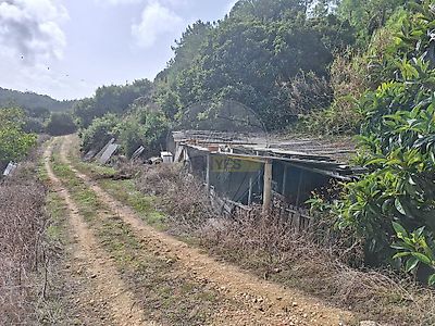 listing-picture-0