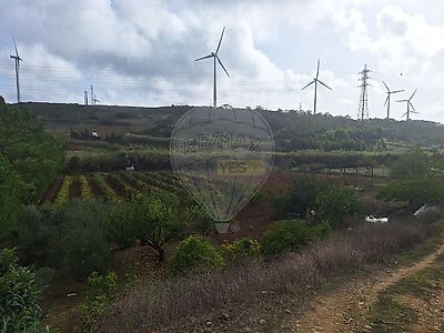 listing-picture-0
